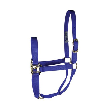 NYLON HALTER BLU AVG